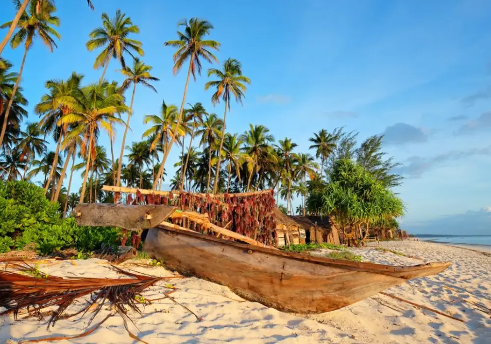 Ile kosztuje lot do Zanzibaru? Ceny biletów i najlepsze oferty podróży