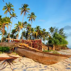 Ile kosztuje lot do Zanzibaru? Ceny biletów i najlepsze oferty podróży